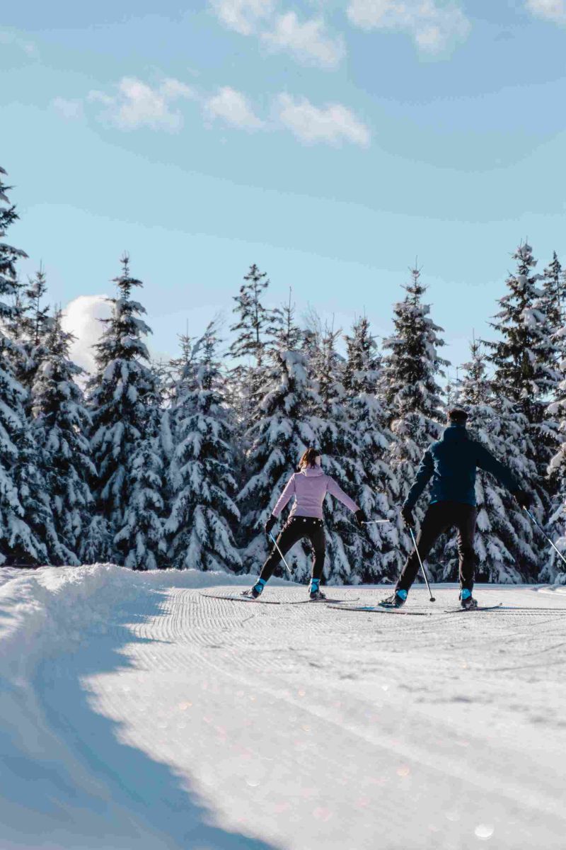 Zwei Langläufer auf einer Loipe durch den verschneiten Wald
